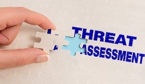 what is the difference between a security consultant and a threat assessment and management professional?